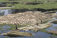 Bamboo raft